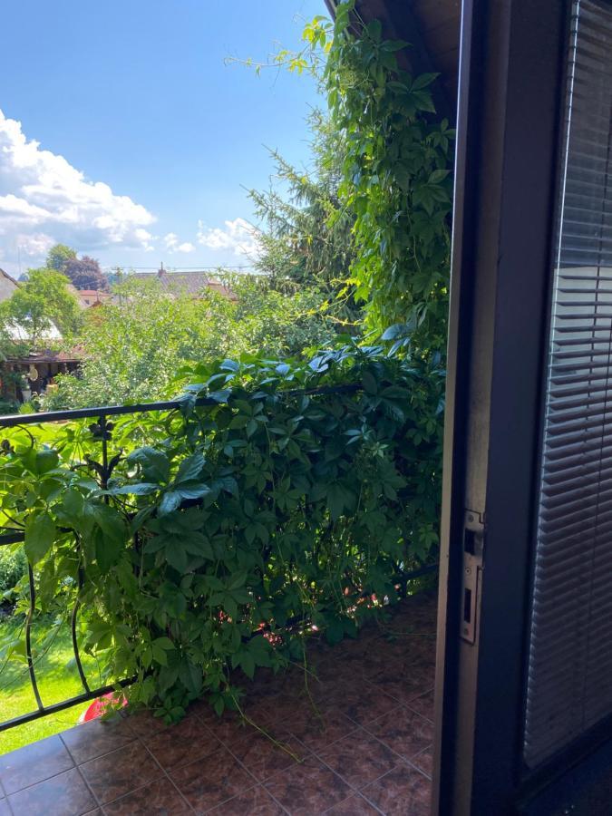 Penzion Country Club Hotel Žamberk Kültér fotó